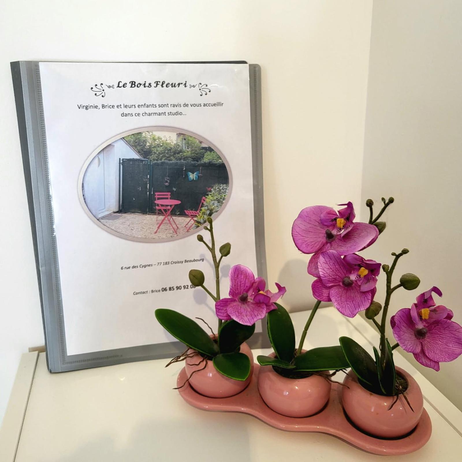 Maison Studio Le Bois Fleuri Croissy-Beaubourg Buitenkant foto